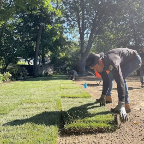 Screenshot 2025-05-11 at 5.47.42 PM